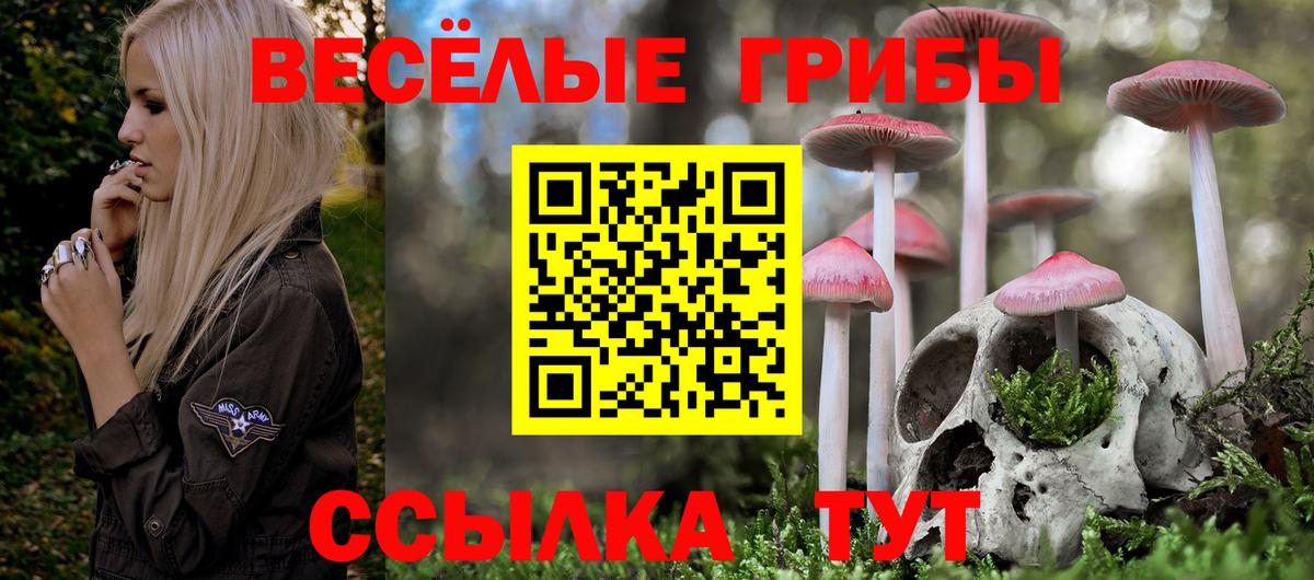 Галлюциногенные грибы Cubensis  Псилоцибиновые грибы MAGIC MUSHROOMS  Вход с VPN  Учалы 