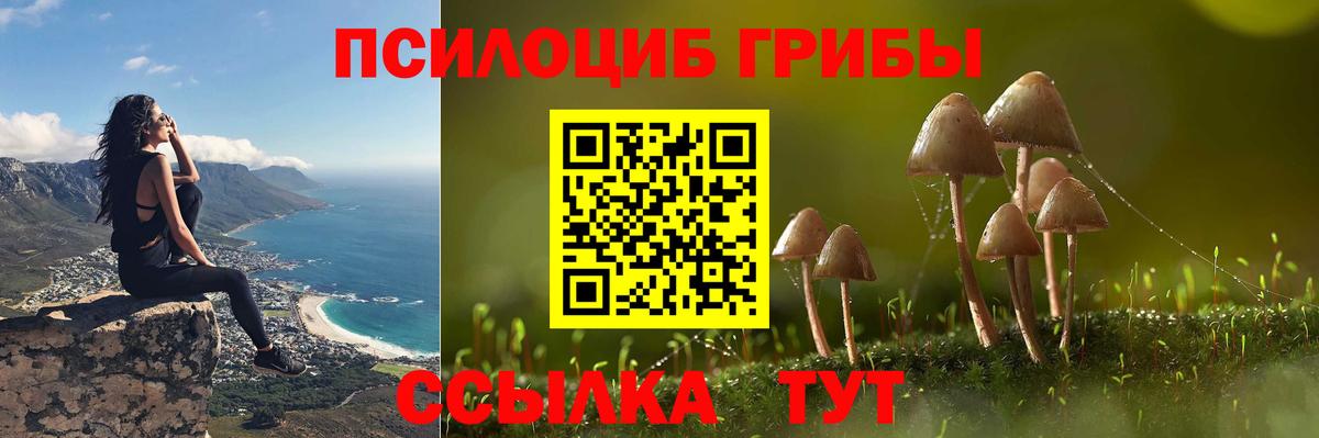 Псилоцибиновые грибы прущие грибы Учалы